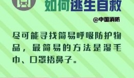 地铁逃生新内容爆料最新,全方位提升安全系数，紧急应对指南全新升级